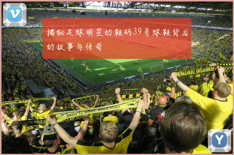 揭秘足球明星的鞋码39号球鞋背后的故事与传奇