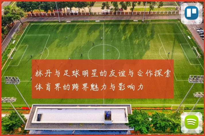 林丹与足球明星的友谊与合作探索体育界的跨界魅力与影响力