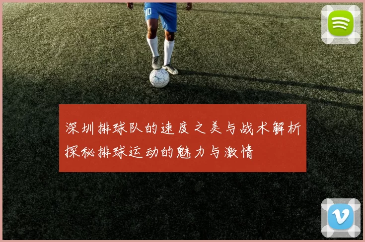 深圳排球队的速度之美与战术解析探秘排球运动的魅力与激情