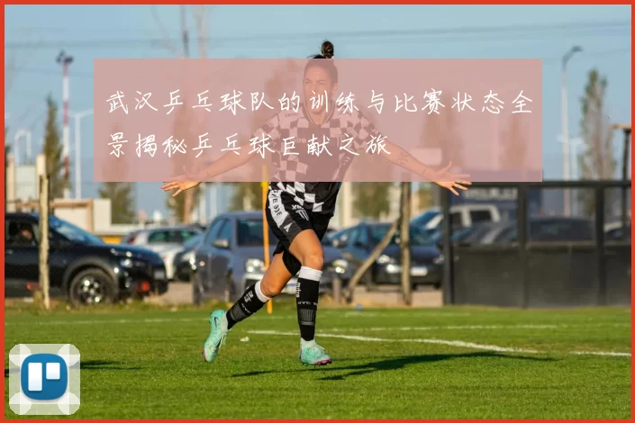 武汉乒乓球队的训练与比赛状态全景揭秘乒乓球巨献之旅