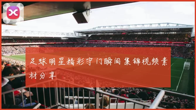 足球明星精彩守门瞬间集锦视频素材分享