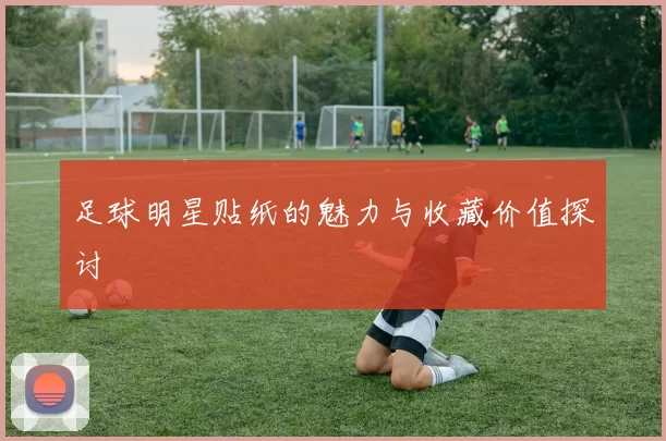足球明星贴纸的魅力与收藏价值探讨