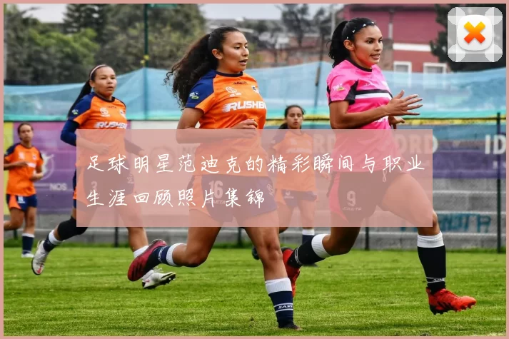 足球明星范迪克的精彩瞬间与职业生涯回顾照片集锦