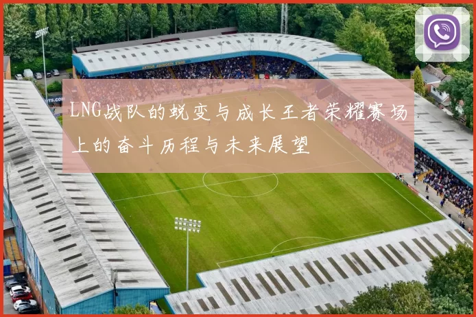 LNG战队的蜕变与成长王者荣耀赛场上的奋斗历程与未来展望