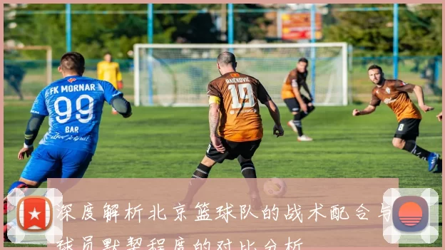 深度解析北京篮球队的战术配合与球员默契程度的对比分析