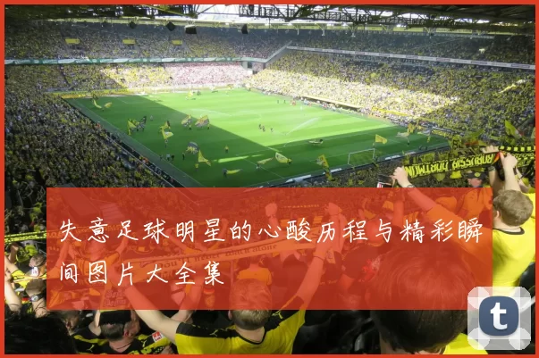 失意足球明星的心酸历程与精彩瞬间图片大全集