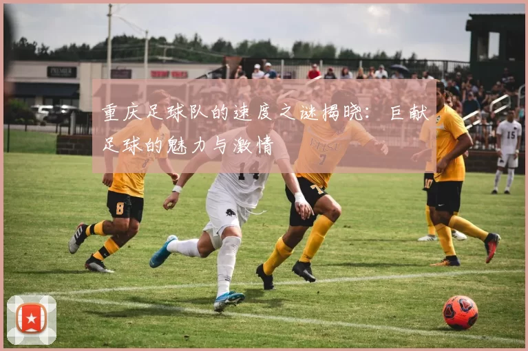 重庆足球队的速度之谜揭晓：巨献足球的魅力与激情
