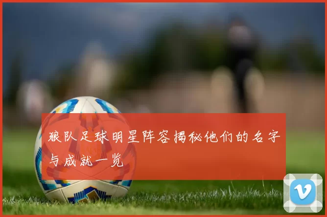 狼队足球明星阵容揭秘他们的名字与成就一览