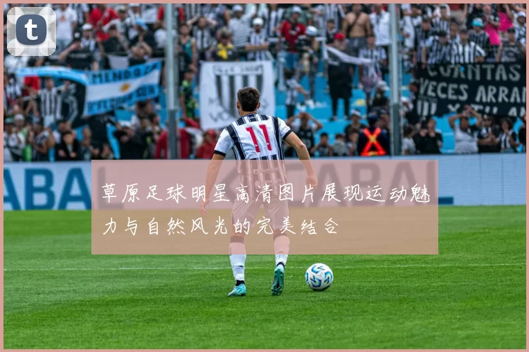 草原足球明星高清图片展现运动魅力与自然风光的完美结合
