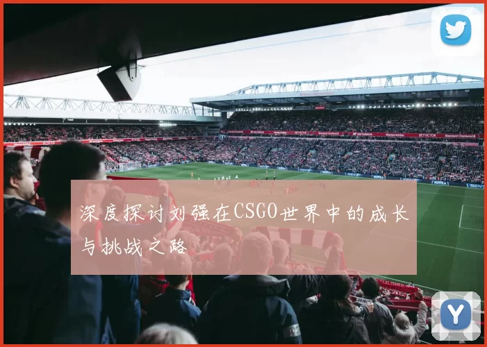 深度探讨刘强在CSGO世界中的成长与挑战之路