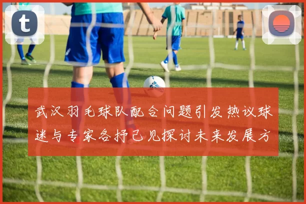 武汉羽毛球队配合问题引发热议球迷与专家各抒己见探讨未来发展方向