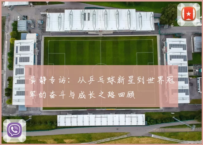 黄静专访：从乒乓球新星到世界冠军的奋斗与成长之路回顾