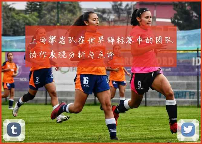 上海攀岩队在世界锦标赛中的团队协作表现分析与点评