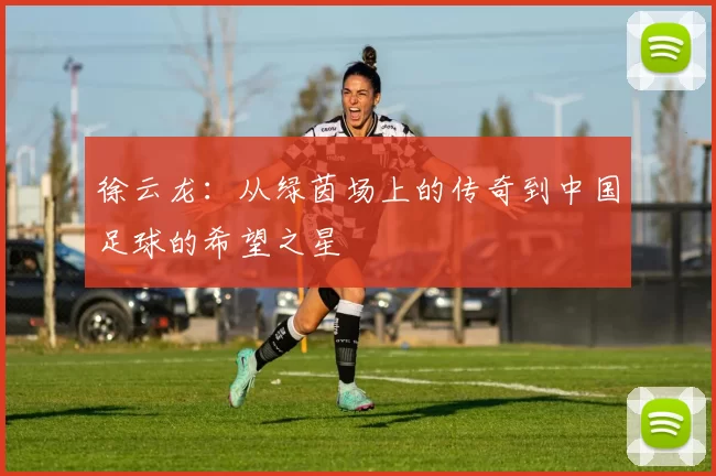 徐云龙：从绿茵场上的传奇到中国足球的希望之星
