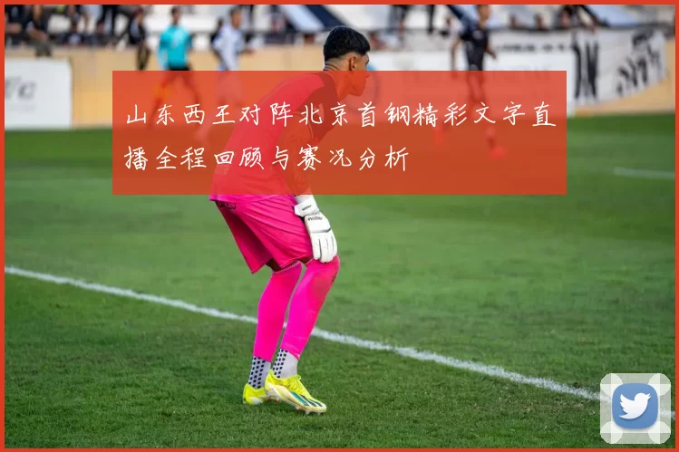 山东西王对阵北京首钢精彩文字直播全程回顾与赛况分析