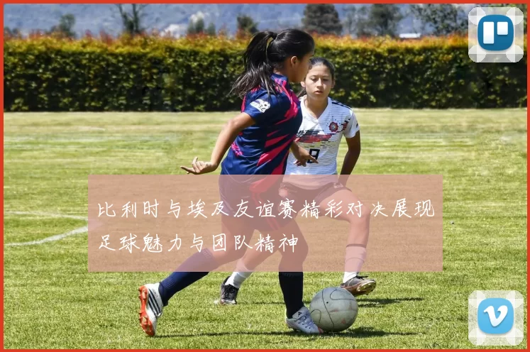 比利时与埃及友谊赛精彩对决展现足球魅力与团队精神