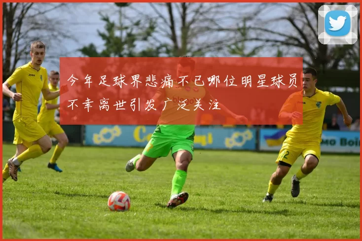 今年足球界悲痛不已哪位明星球员不幸离世引发广泛关注