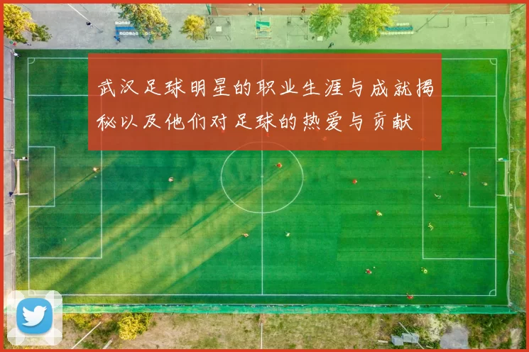 武汉足球明星的职业生涯与成就揭秘以及他们对足球的热爱与贡献