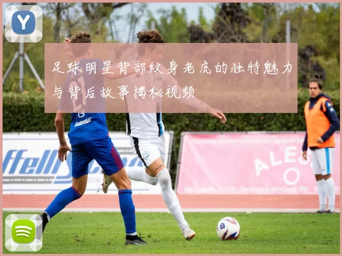 足球明星背部纹身老虎的独特魅力与背后故事揭秘视频