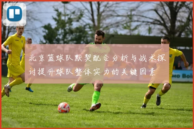 北京篮球队默契配合分析与战术探讨提升球队整体实力的关键因素