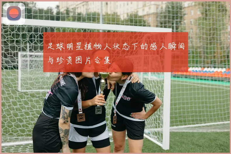 足球明星植物人状态下的感人瞬间与珍贵图片合集