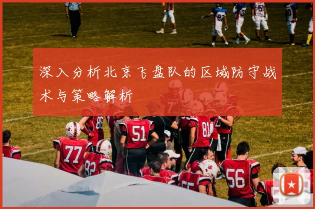 深入分析北京飞盘队的区域防守战术与策略解析