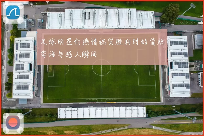足球明星们热情祝贺胜利时的简短寄语与感人瞬间