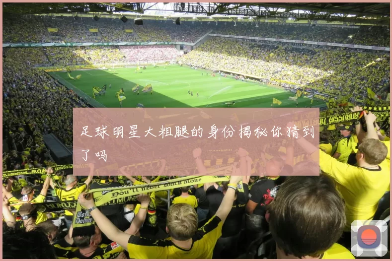 足球明星大粗腿的身份揭秘你猜到了吗