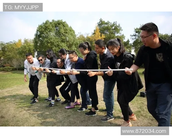 V5在挑战者杯中的团队协作表现分析与评价