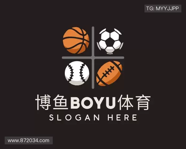 介绍博鱼boyu体育